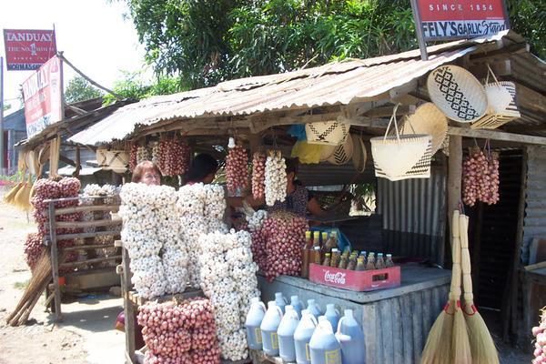 Garlic stand in Pinili
