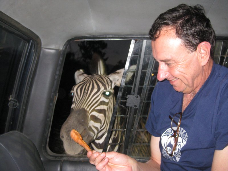 Feeding the Zebra