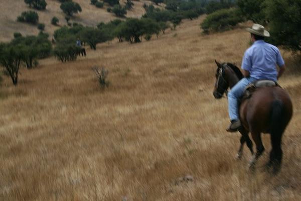 Horseback Riding 3