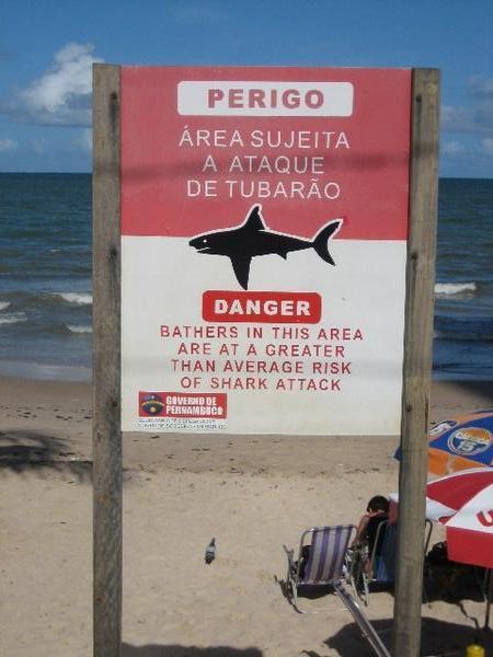 Boa Viagem Shark Warning