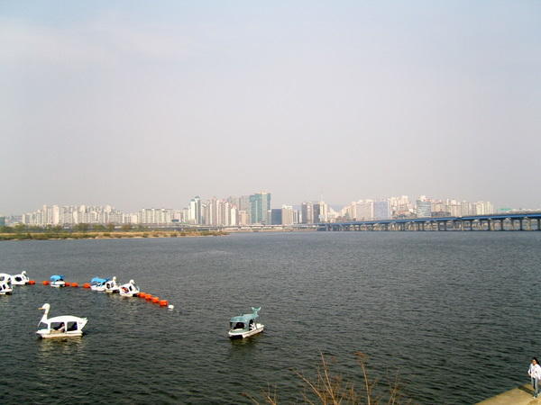Duck Boats on the Han River