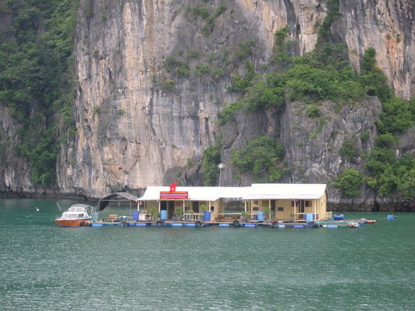 A house that people live in, there are many floating villages throughout the bay