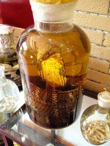 A big jug of Snake Wine