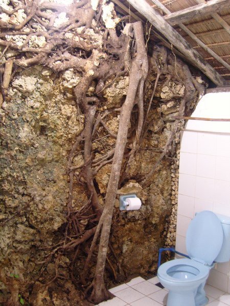 Our Jumanji bathroom
