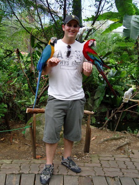 Holding the parrots in the Butterfly Park