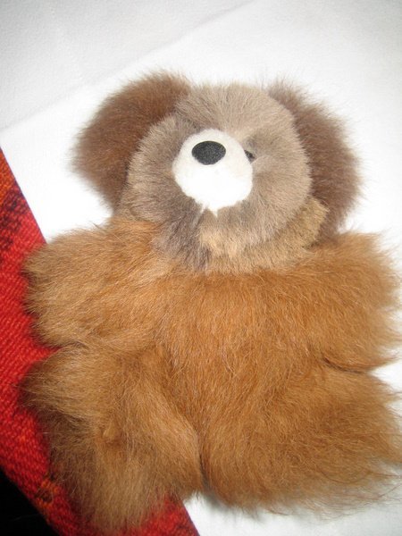 Lima - the teddy bear made of alpaca fur!