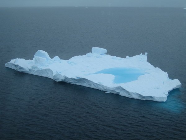 Iceberg in Paradise Bay