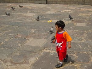 Boy chasing the birds