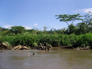 River tour in Costa Rica