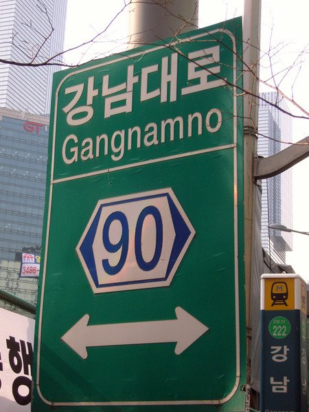 We live in Gangnam!