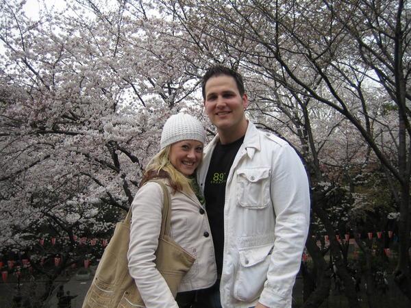 in front of some beautiful cherry blossoms