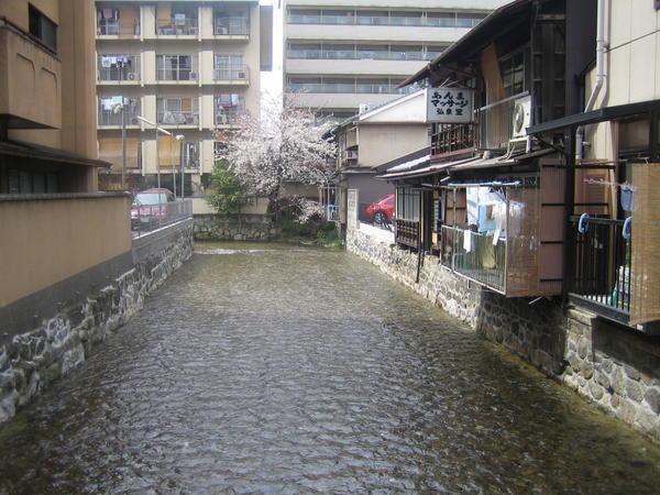 A creek behind our Ryokan