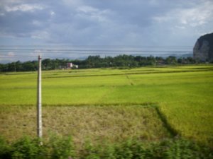 First view of Vietnam, workers in the rice paddys