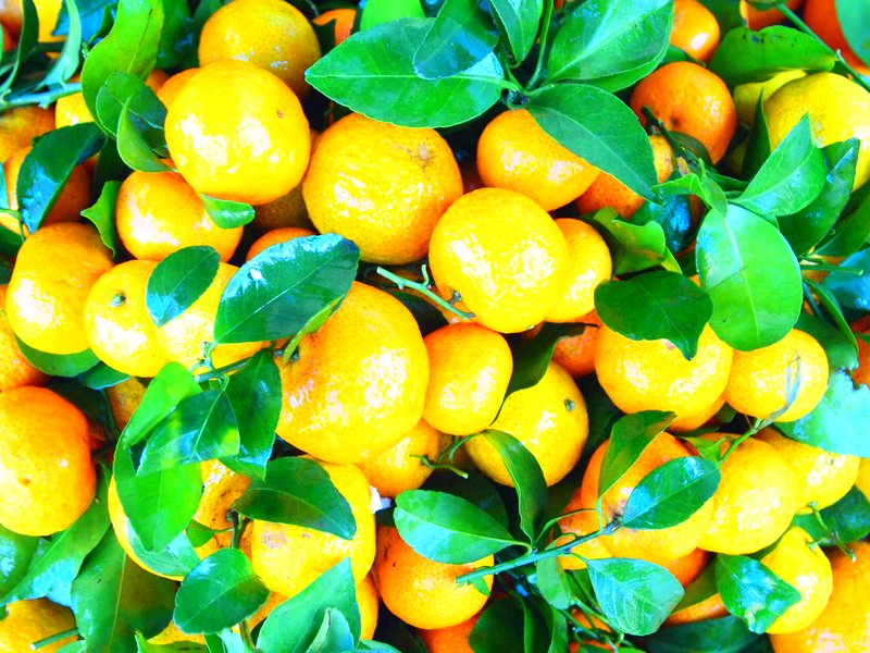 Little oranges