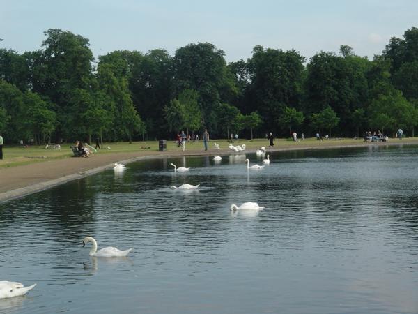 Hyde Park lake