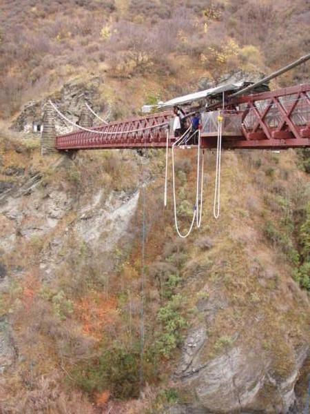 Forest bout to take the big leap of Kawarau bungy