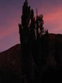Sonnenuntergang in der Quebrada
