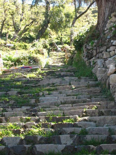 Escalera de Inca auf der Isla del sol
