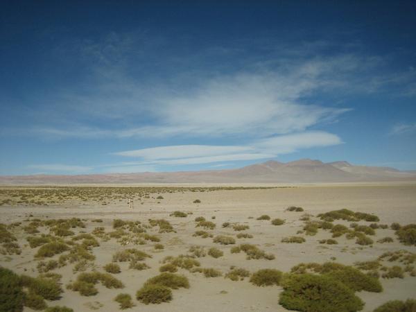 atemberaubende Atacama - die Dritte