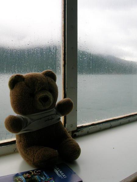 bear on the ferry