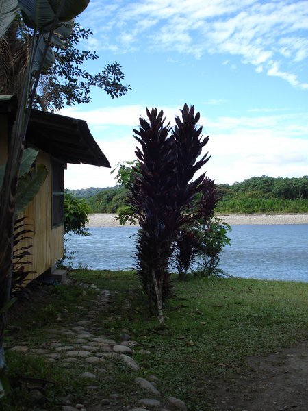 Erica Lodge - view of the river