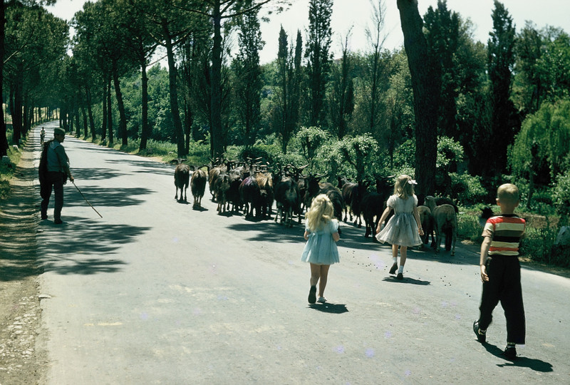 Bob walking the Via Francigena through Tuscany in 1958