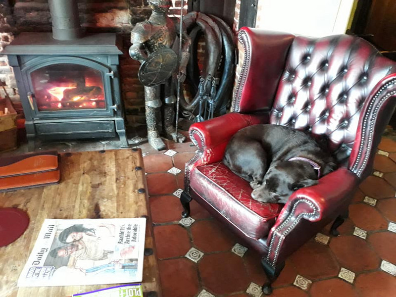 Molly enjoying the fireplace at the Abbot's Fireplace Inn