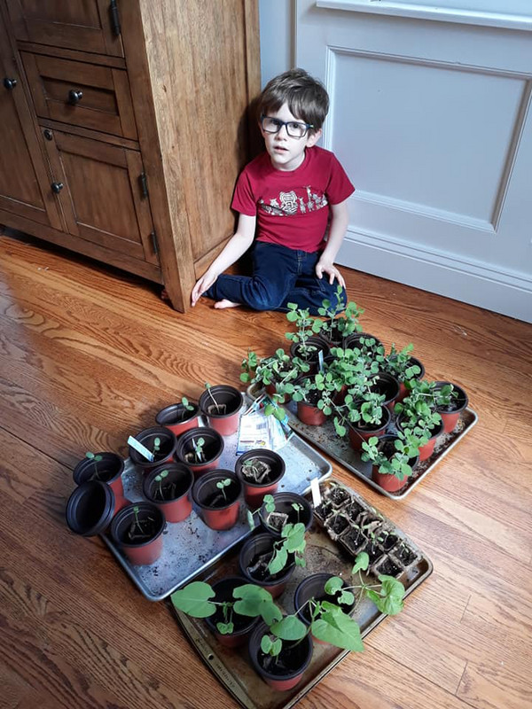 Connor with his plants to be moved to the garden