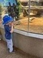 Logan at the San DIego Zoo
