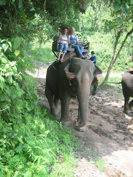 Tamara & Rosanna on elephant ride