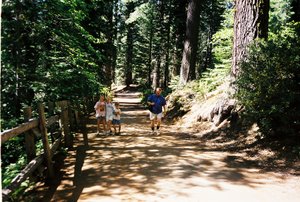 Bob and the kids hiking back up from the sequoia grove at Yosemite NP