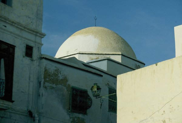 Skyline view of the Medina of Tunis