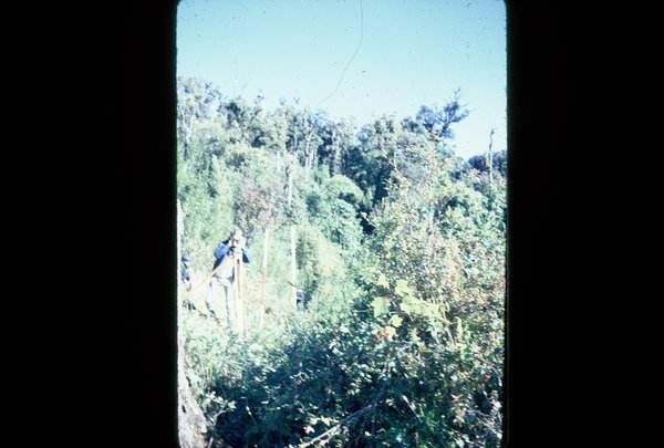 Bob surveying the top of Doi Inthanon