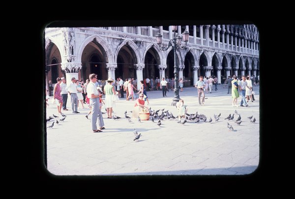 Feeding the pigeons at St Marks Piazza
