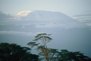 Mt. Kilimanjaro...backdrop for every picture at Amboseli