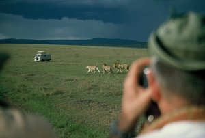Joe taking pictures of lions with storm approaching