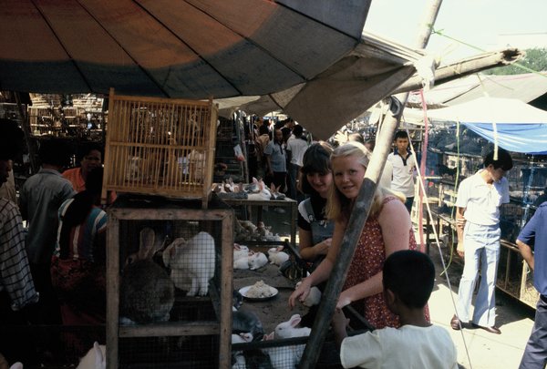 Linda and Carol shopping for a pet at the Weekend Market