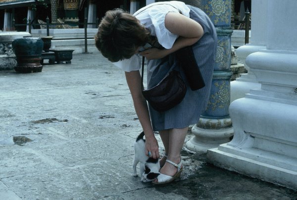 Linda petting a kitten at the Temple of the Emerald Buddha