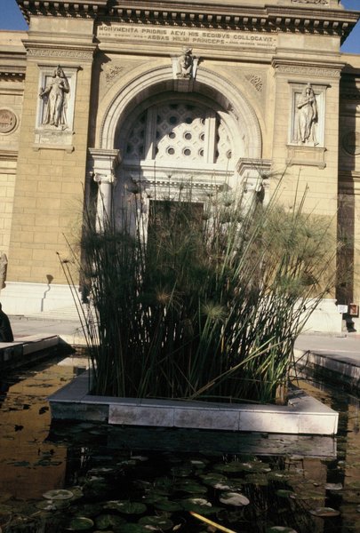 Fountain with papyrus in front of the Egyptian Museum