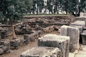 Excavations of Capurneum