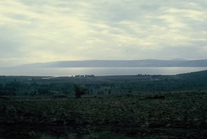 Sea of Gallilee seen from the Golan Heights