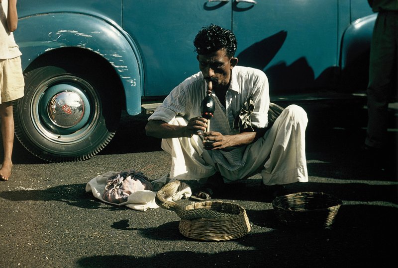 Snake charmer in Bombay