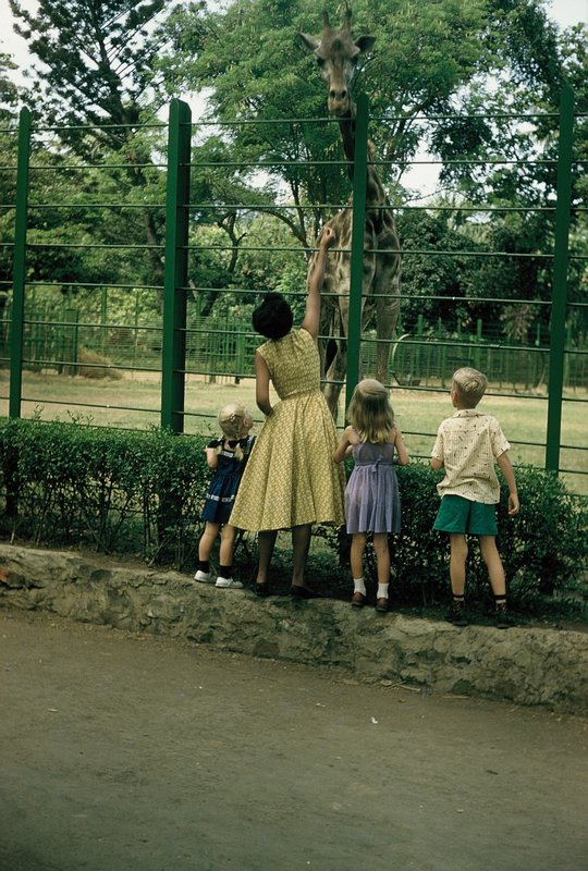 Thai nurse friend and kids at Columbo zoo