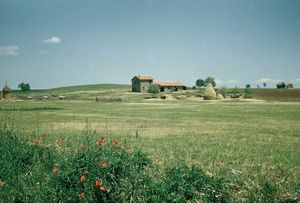 Farm in Tuscan countryside