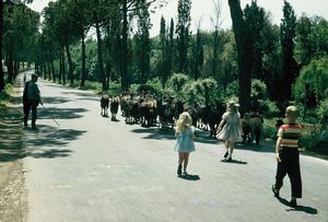 Judy, Sue and Bob herding goats in Tuscany