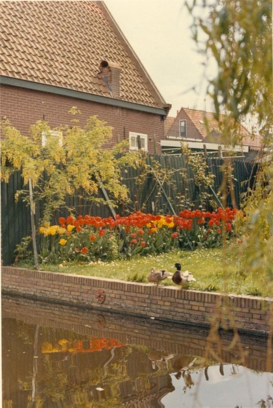 Backstreet in Volendam