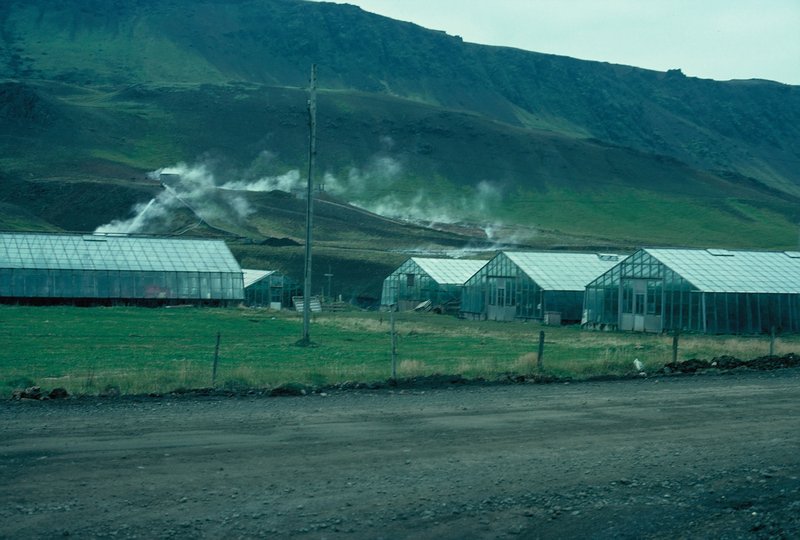Greenhouses heated with geothermal energy