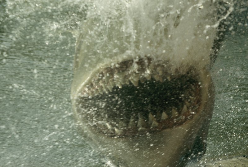 Universal Studios - Jaws attack