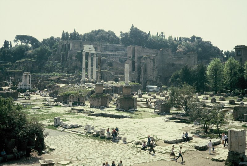 Roman Forum with Palatine Hill behind