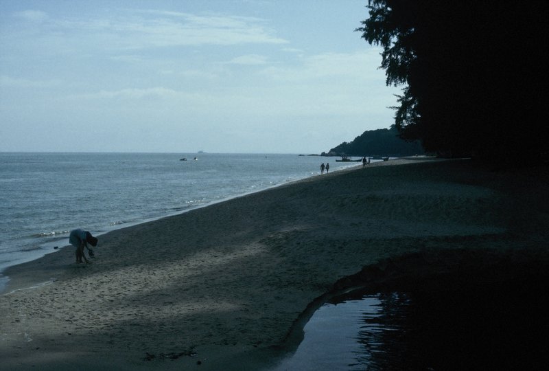 Beach at the Lone Pine Hotel in Penang